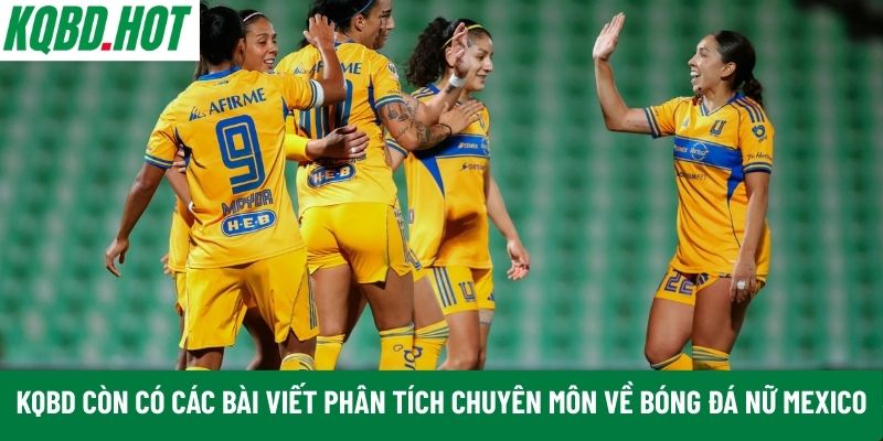 KQBD còn có các bài viết phân tích
