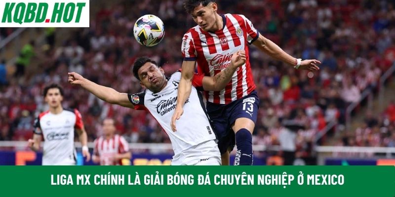 Liga MX 