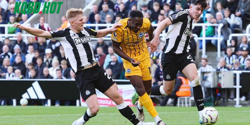 Điểm qua phong độ của Newcastle vs Brighton